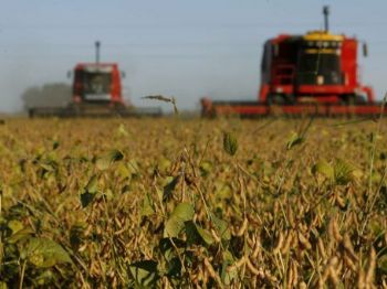 EUA, Brasil e Paraguai são os três principais exportadores de soja mundiais - Foto: Divulgação / El País
