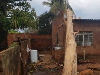Uma árvore caiu em cima de uma residência no bairro Santa Luzia e deixou uma criança e uma mulher feridas (foto: Divulgação Rádio Caçula)