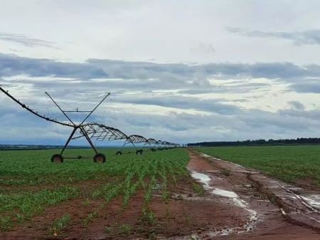 Projeto de agricultura irrigada em Mato Grosso do Sul; setor está entre os beneficiados pelas liberações de FCO. (Foto: Divulgação/Semadesc)