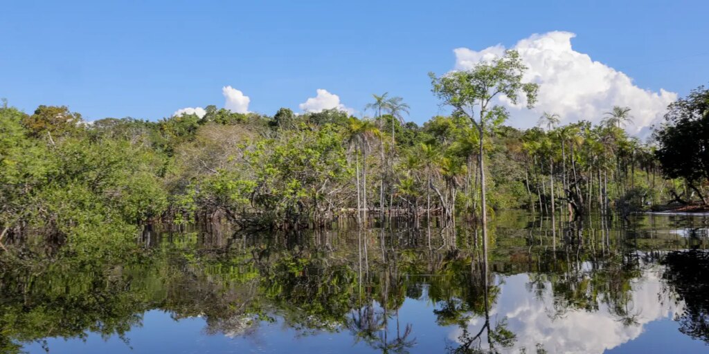 governo-levantou-r$-179-bi-desde-2023-para-transicao-ecologica