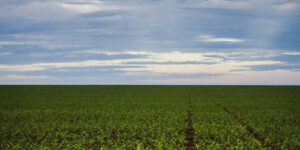 fazenda-estuda-fundo-garantidor-para-dividas-rurais